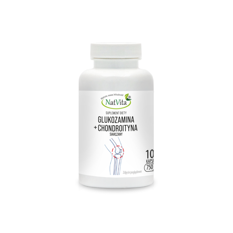Glukozamina + Chondroityna 2:1 kapsułki 750mg