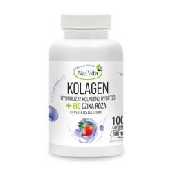 Kolagen z Ryb hydrolizat + Bio Dzika Róża kapsułki 300mg