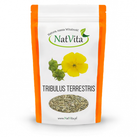 Tribulus terrestris pocięty Tribulus terrestris pocięty