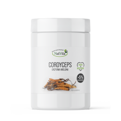 Cordyceps grzyb mielony