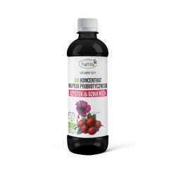 Koncentrat BIO napoju probiotycznego Czystek i Dzika Róża