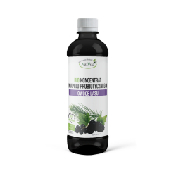 Koncentrat BIO napoju probiotycznego Owoce lasu