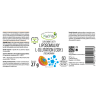 L-GLUTATION liposomalny zredukowany GSH kapsułki 450mg - thumbnail do zdjęcia produktu