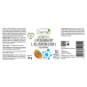 L-GLUTATION liposomalny zredukowany GSH kapsułki 600mg - thumbnail do zdjęcia produktu