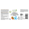 L-GLUTATION liposomalny zredukowany GSH kapsułki 450mg - thumbnail do zdjęcia produktu
