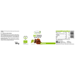 Chaga BIO grzyb mielony