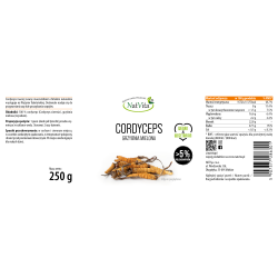 Cordyceps grzyb mielony