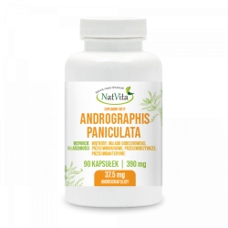 Andrographis Paniculata ekstrakt 10% kapsułki