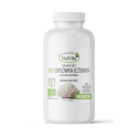 Soplówka Jeżowata BIO kapsułki 500mg