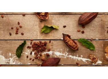 Rodzaje i odmiany kakao – czym się od siebie różnią i jakie mają zastosowanie?