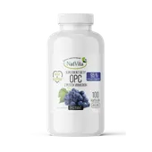 OPC Pestki Winogron ekstrakt 95% polifenoli kapsułki 400mg