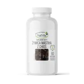 Chios Mastiha żywica z drzewa pistacji kleistej kapsułki 500mg Chios Mastiha żywica z drzewa pistacji kleistej kapsułki 500mg