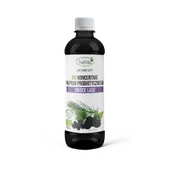 Koncentrat BIO napoju probiotycznego Owoce lasu