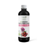 Koncentrat BIO napoju probiotycznego Czystek i Dzika Róża