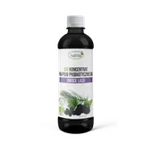 Koncentrat BIO napoju probiotycznego Owoce lasu