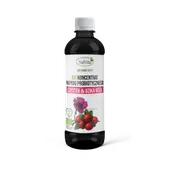 Koncentrat BIO napoju probiotycznego Czystek i Dzika Róża