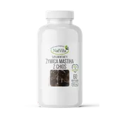 Chios Mastika żywica z drzewa pistacji kleistej kapsułki 500mg