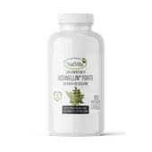 BOSWELLIA SERRATA EKSTRAKT 12:1 kapsułki 340mg